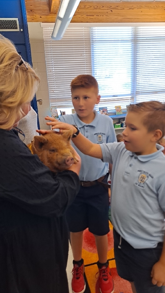 3rd graders petting the pig